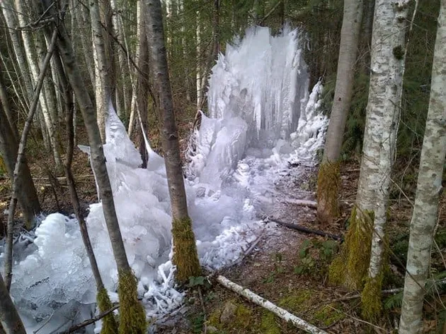 foto unik, foto aneh, foto lucu, foto keren