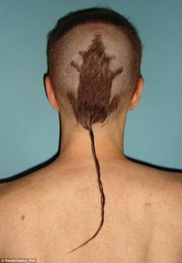 gaya rambut, foto unik, foto aneh, foto lucu