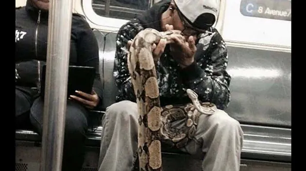 foto aneh, foto lucu, foto bikin ngakak, foto subway