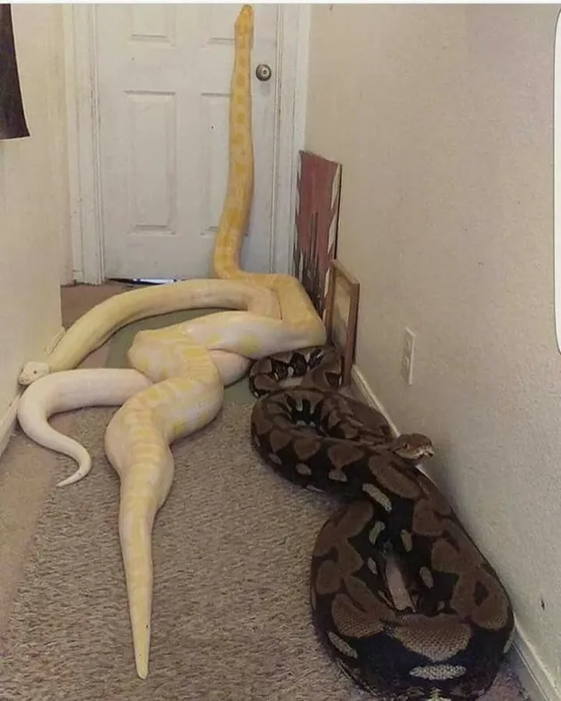 foto unik, foto aneh, foto lucu, foto keren