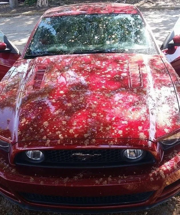 foto unik, foto aneh, foto lucu, foto keren