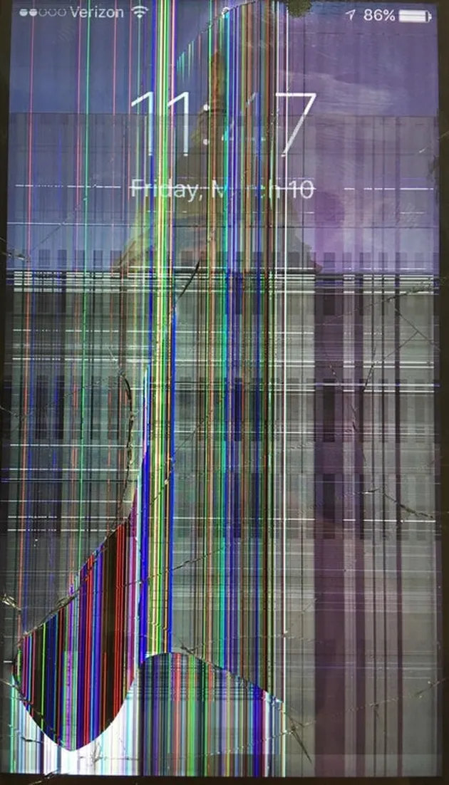 foto unik, foto aneh, foto lucu, foto keren