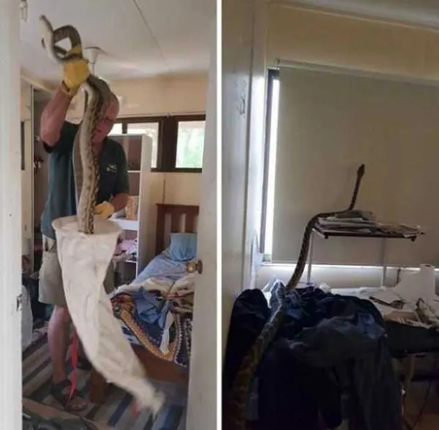 foto unik, foto aneh, foto lucu, foto keren, hal unik di australia