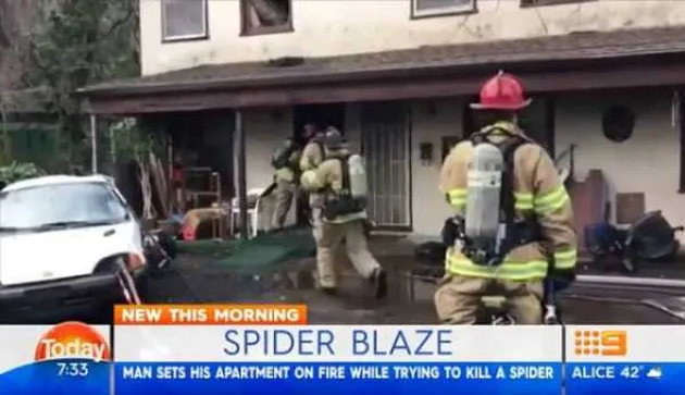 foto unik, foto aneh, foto lucu, foto keren, hal unik di australia