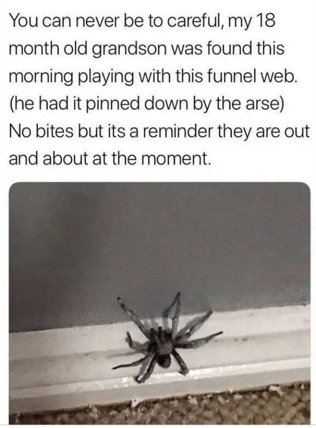 foto unik, foto aneh, foto lucu, foto keren, hal unik di australia