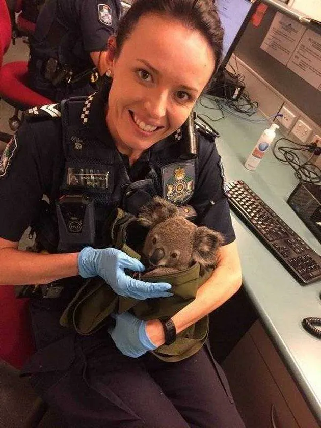 foto unik, foto aneh, foto lucu, foto keren, hal unik di australia