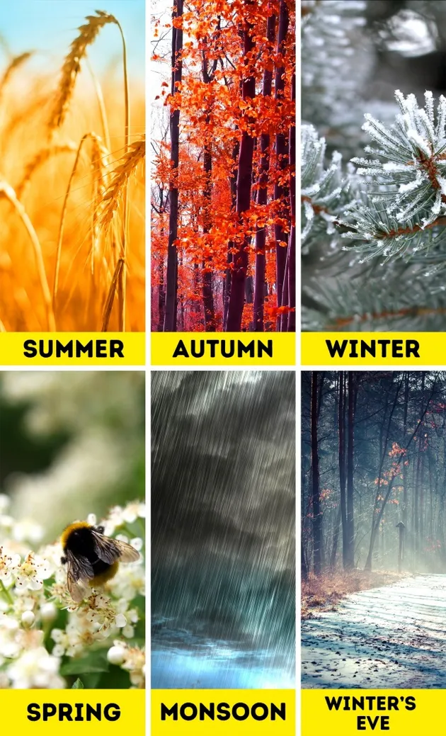 fakta unik india, hanya ada di india, fakta unik yang ada di india