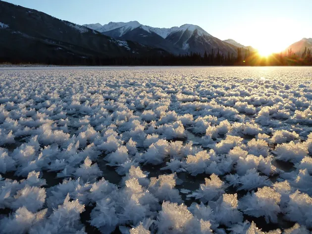 hal unik, foto unik, berita unik