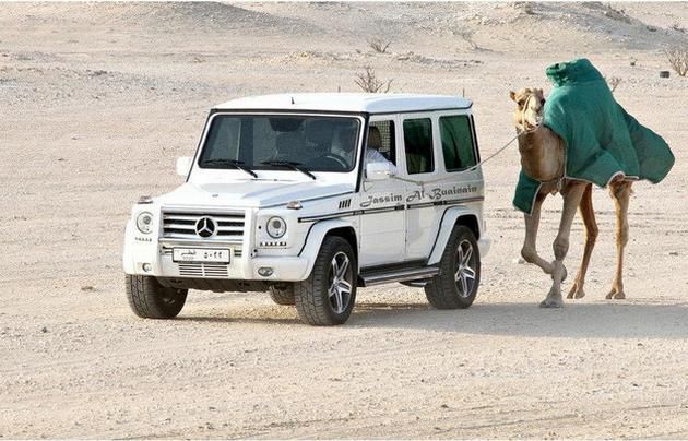 8 Things That Only Exist in Dubai, From Keeping Wild Animals to Expensive Cars!