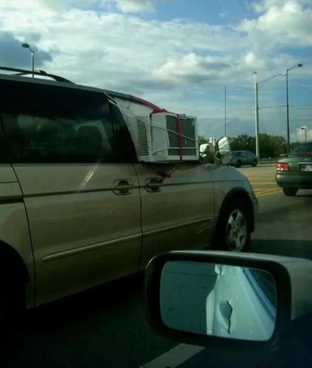 foto unik, foto aneh, foto lucu