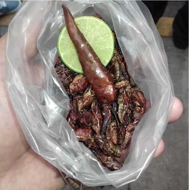 Makanan Enak Tapi Aneh