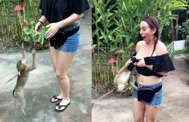 foto unik, foto aneh, foto lucu, foto keren