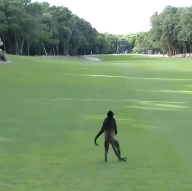 foto unik, foto aneh, foto lucu, foto keren