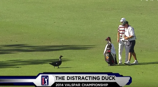 foto unik, foto aneh, foto lucu, foto keren