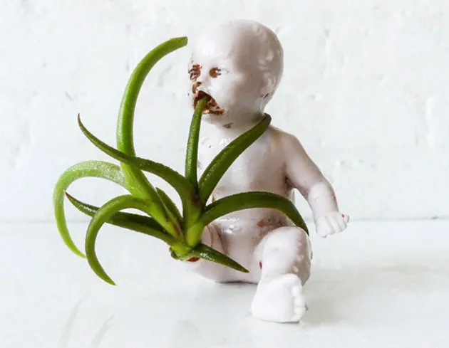 foto unik, foto aneh, foto lucu, foto keren, boneka bayi, boneka bayi seram