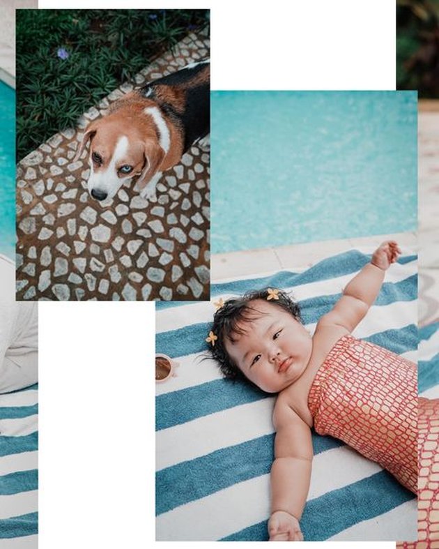 8 Portraits of Baby Xarena, Siti Badriah's Daughter, Looking Plump as a Mermaid with a Mermaid Tail, Chubby Cheeks and Torn Bread Arms Making Netizens Want to Bite