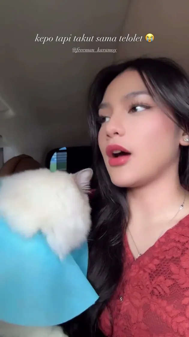 Potret Gemas Kucing Davina Karamoy