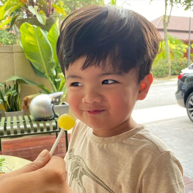 8 Adorable Photos of Jebat Jayden, Noor Nabila's Stepson who is now Engku Emran's Adopted Child