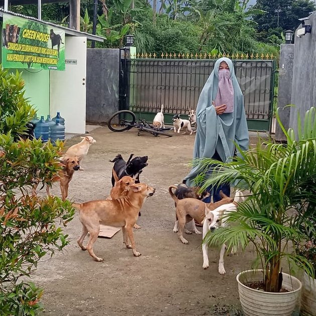 8 Portraits and Facts of Hesti Sutrisno, Veiled Woman Caring for 70 Stray Dogs in Bogor Protesting Organizations