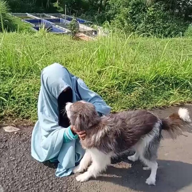 8 Portraits and Facts of Hesti Sutrisno, Veiled Woman Caring for 70 Stray Dogs in Bogor Protesting Organizations