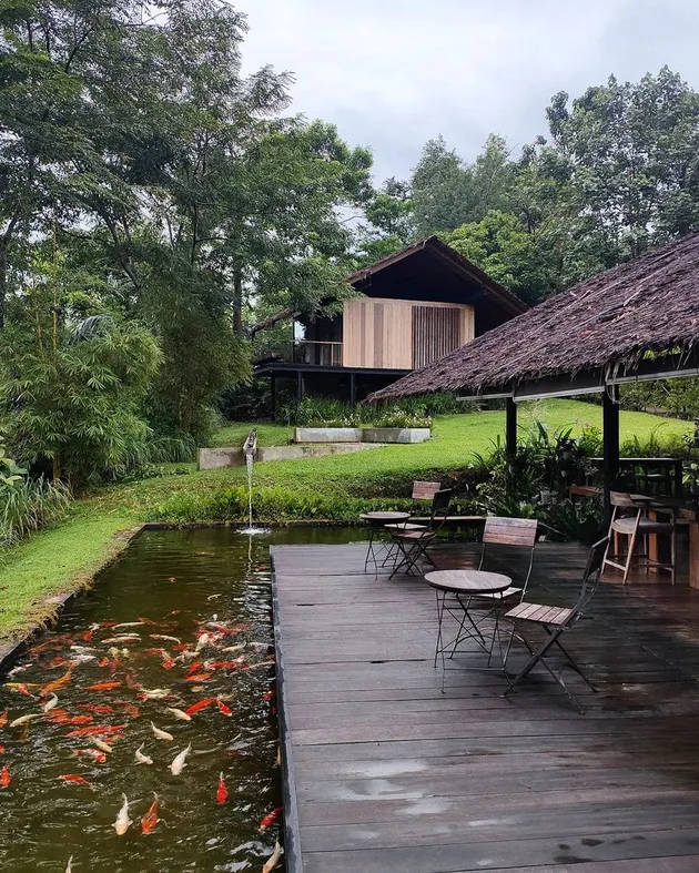 Hotel Nicholas Saputra