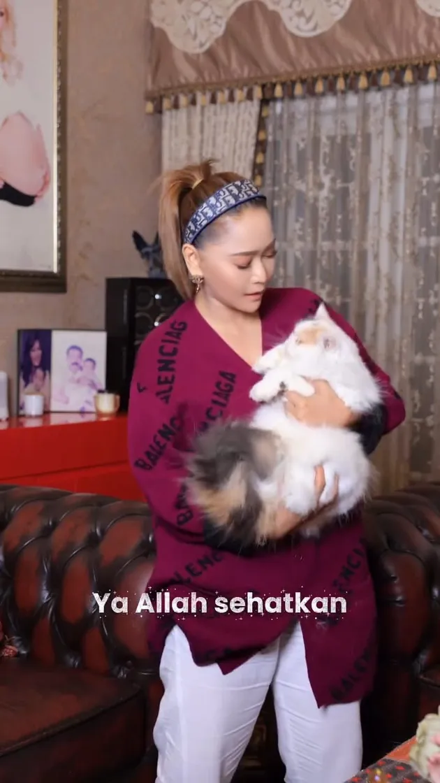 Inul Daratista Nyanyi lagu Ayu Ting Ting yang Vira
