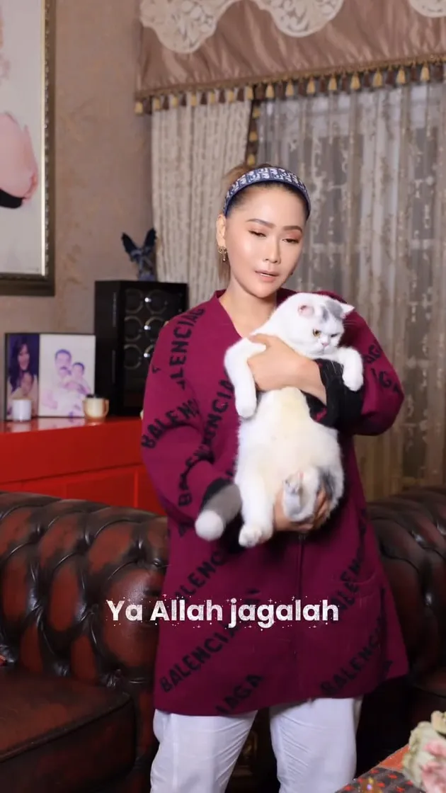 Inul Daratista Nyanyi lagu Ayu Ting Ting yang Vira bareng kucing