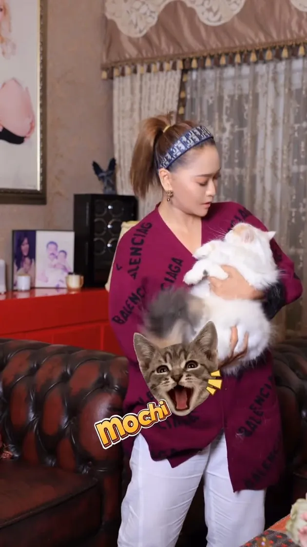 Inul Daratista Nyanyi lagu Ayu Ting Ting yang Vira diubah liriknya