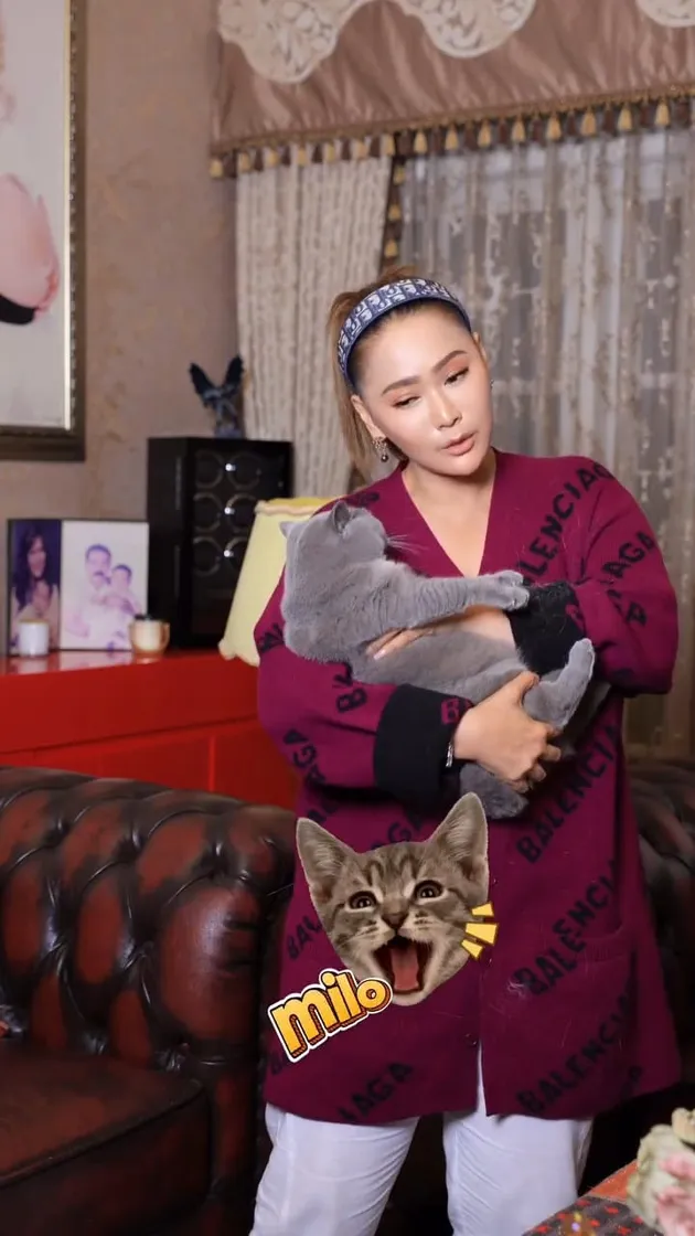 Aksi Inul Daratista Nyanyi lagu Ayu Ting Ting yang Vira