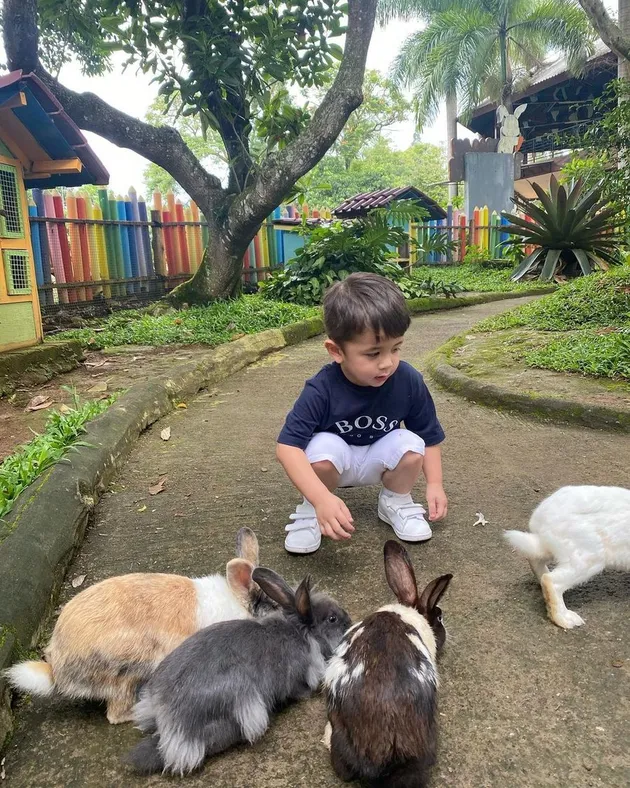 Selvi Kitty dan Anaknya