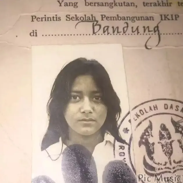 <nil>