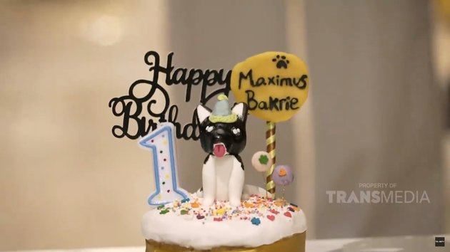 8 Portraits of Maximus' Birthday Celebration, Nia Ramadhani's Dog, Attention-Grabbing Cake - Festive with the Presence of the Bakrie Family