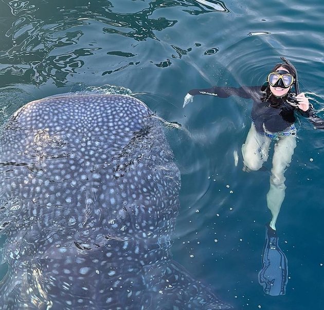 8 Photos of Pevita Pearce Swimming with Leopard Sharks, Still Beautiful Even Without Makeup and Messy Hair That Distracts Attention