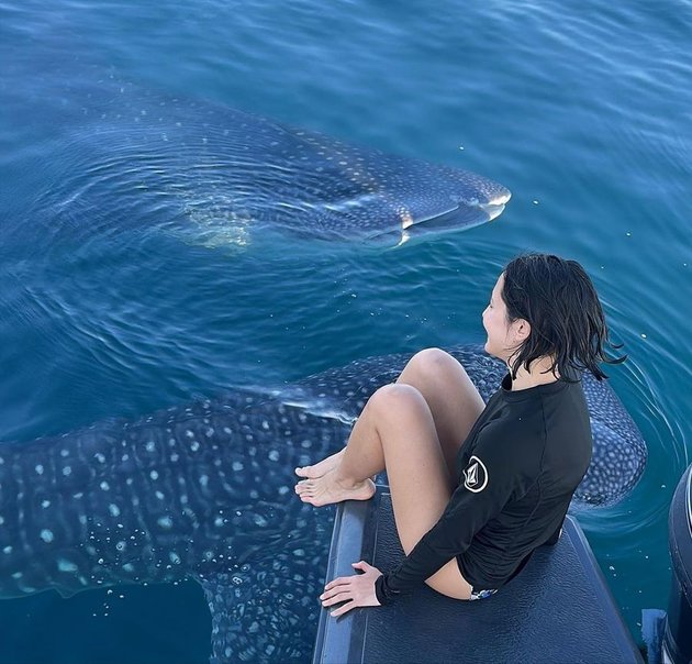 8 Photos of Pevita Pearce Swimming with Leopard Sharks, Still Beautiful Even Without Makeup and Messy Hair That Distracts Attention