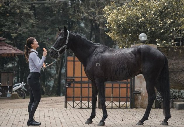8 Portraits of Raya Kohandi, Star of the Soap Opera 'DI ANTARA DUA CINTA' While Horseback Riding, Still Beautiful - Always Flooded with Praise