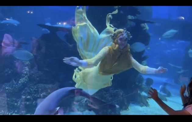 8 Photos of Ria Ricis Diving in an Aquarium with Sharks, Wearing a Mermaid Costume - Admits to Being Panicked