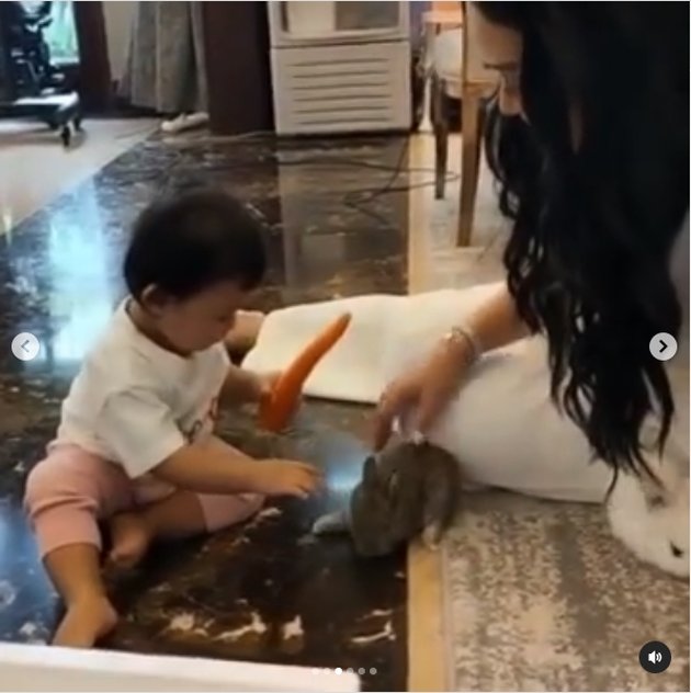 8 Photos of Krisdayanti Having Fun with Baby Ameena, Playing with Rabbits - So Cute and Adorable, She Turns Carrots into a Telephone