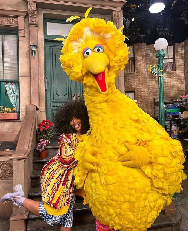 8 Portraits of Sza Taking Photos with Sesame Street Characters - Resembling Big Bird!