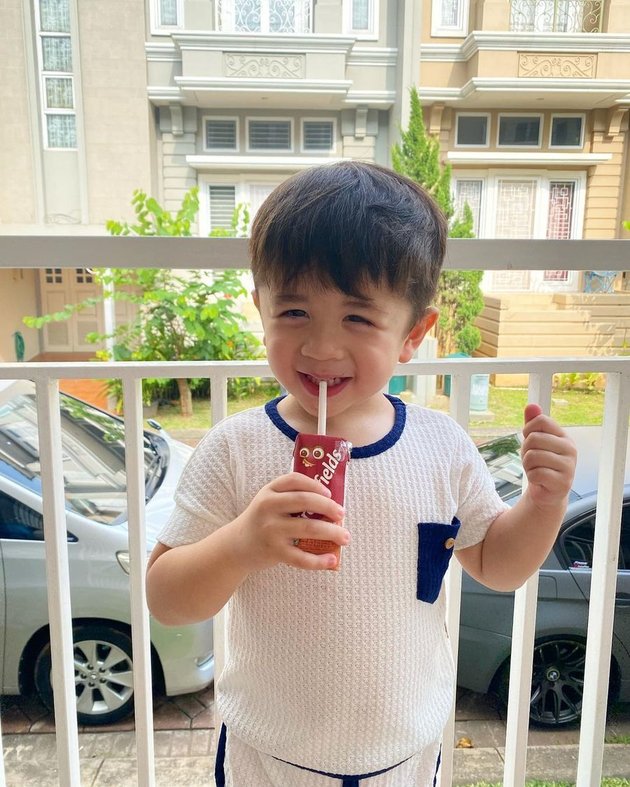 8 Latest Photos of Abizard, the Son of Pedangdut Selvi Kitty, who is Getting Handsome, Cute and Adorable Like a Foreigner - Previously Suffered from Kawasaki Disease