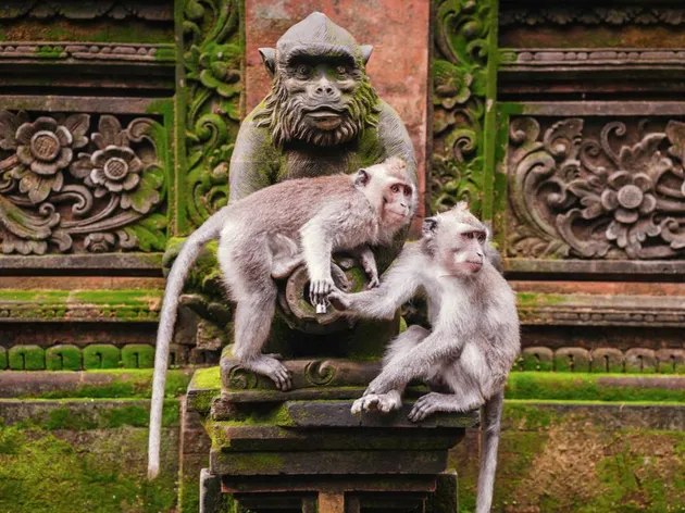 traveling, destinasi traveling, liburan ke asia, tempat keren di asia