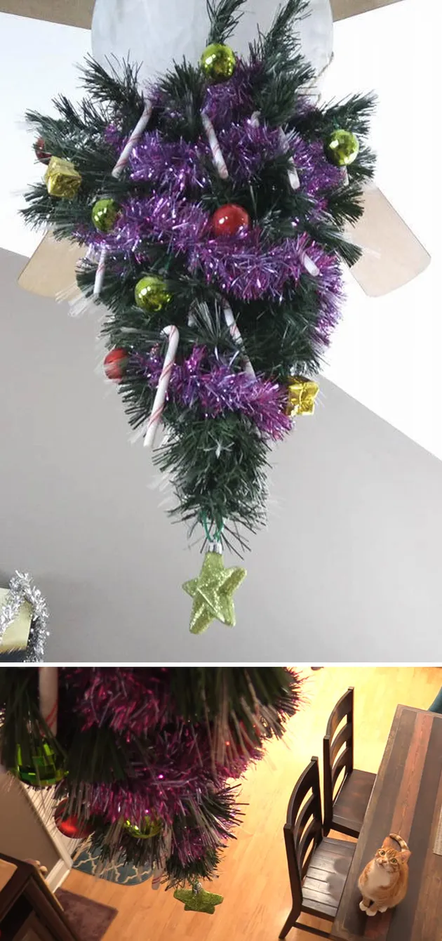 natal, pohon natal, trik natal, trik pohon natal