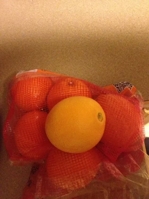 foto unik, foto aneh, foto lucu, foto keren