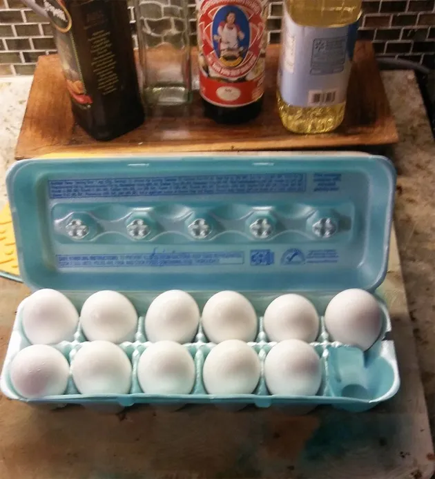 foto unik, foto aneh, foto lucu, foto keren