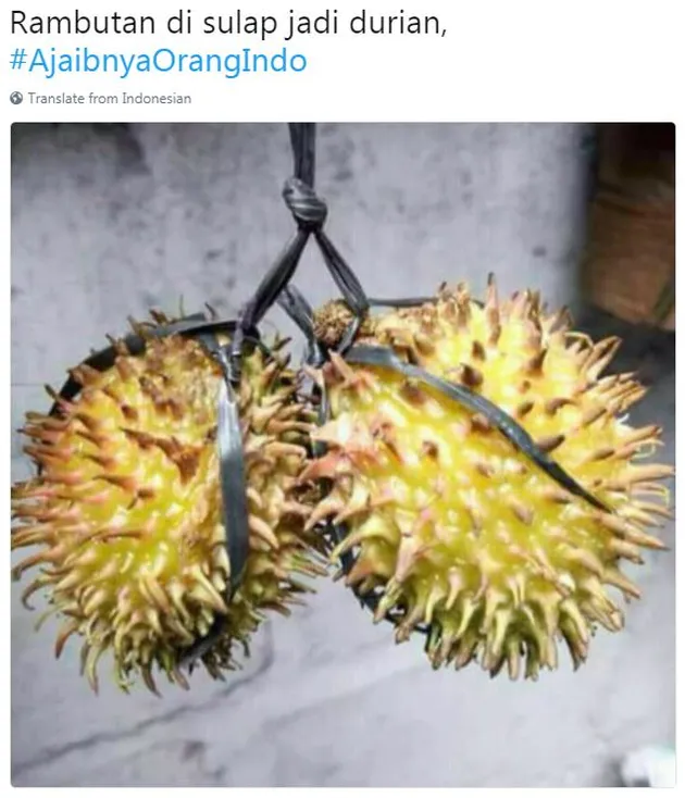 foto unik, foto aneh, foto lucu, foto keren