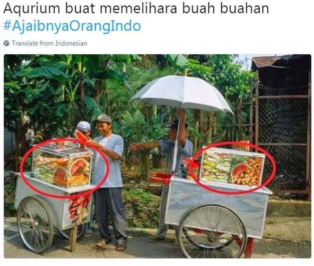 foto unik, foto aneh, foto lucu, foto keren