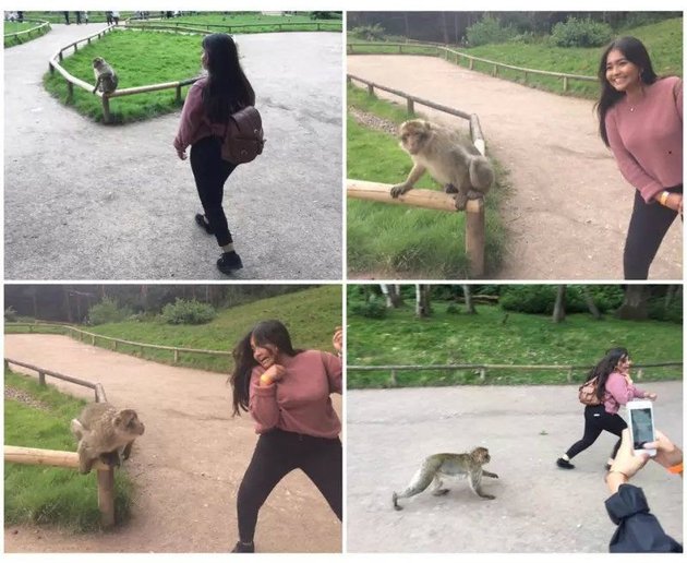 9 Photos That Prove You Shouldn't Take Selfies with Animals
