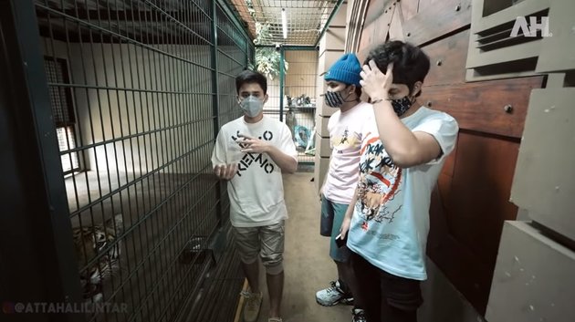 <nil>