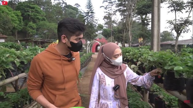 9 Portraits of Ria Ricis Picking Strawberries with Teuku Ryan and Extended Family, Still Awkward during Feeding Moments