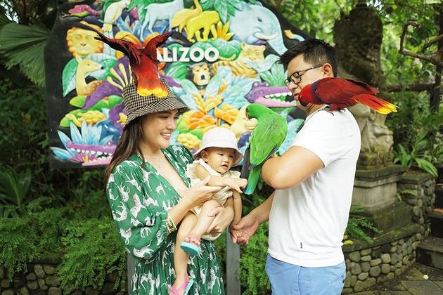 Shandy Aulia baru saja memamerkan foto-foto terbarunya saat main ke kebun binatang di Bali bersama suami dan anaknya.