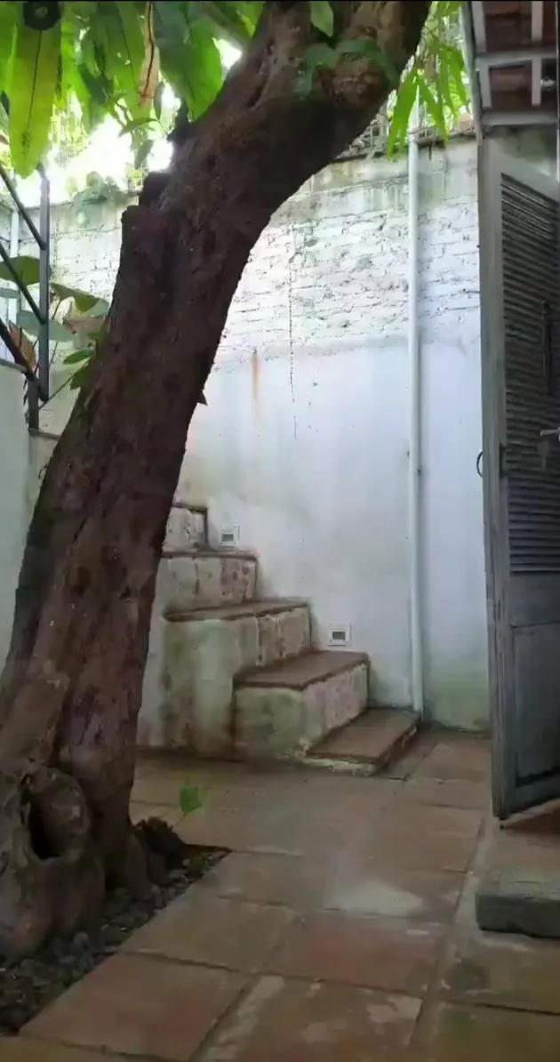 <nil>